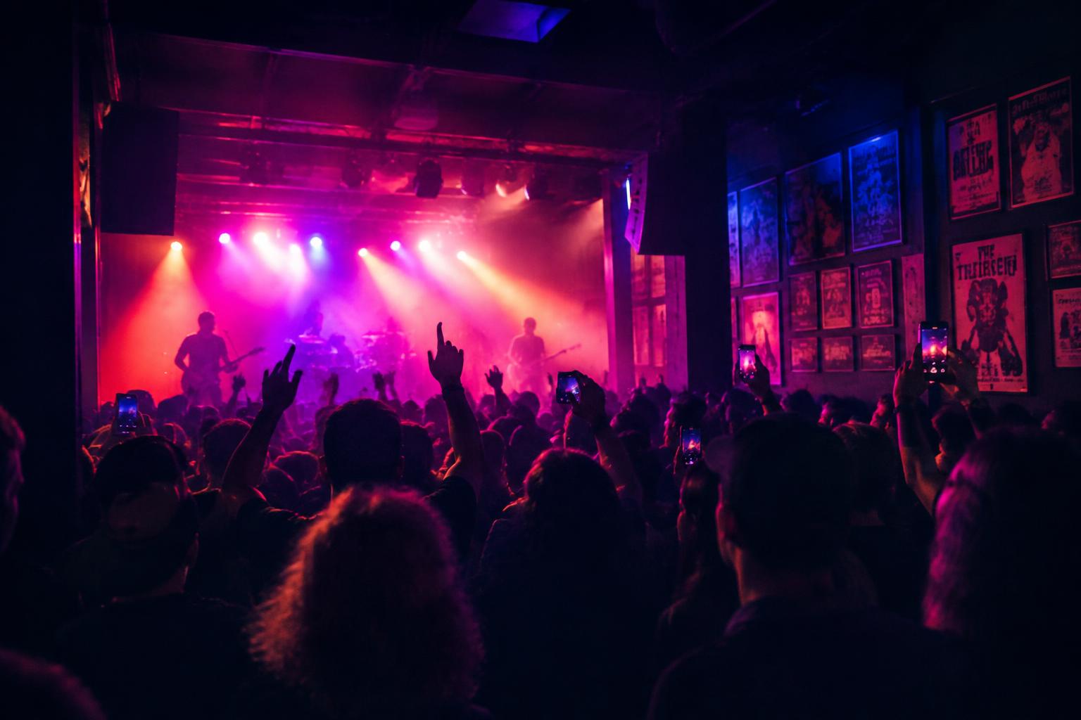 A crowd at a live show